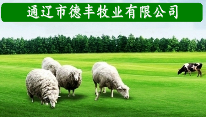 產(chǎn)品展示3